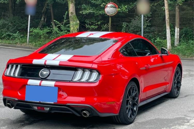 Used Ford Mustang 2019 2.3L EcoBoost
