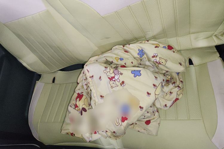 Used  Panda 2024 Panda Mini 200km Endurance Bear