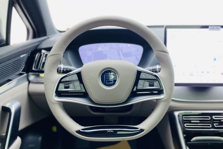 Used BYD Tang New Energy 2025 DM-i 115KM Prestige Model
