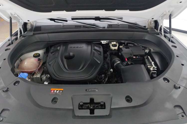 Used Geely Auto Monjaro L 2021 2.0TD DCT EVO Two-Wheel Drive Prestige Version
