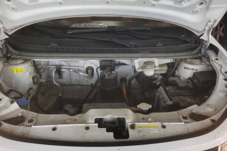 Used SOL E10X 2022 Flower Fairy Design Four-Leaf Clover
