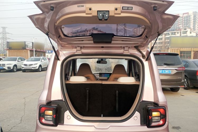 Used  Panda 2024 Panda Mini 200km Endurance Bear