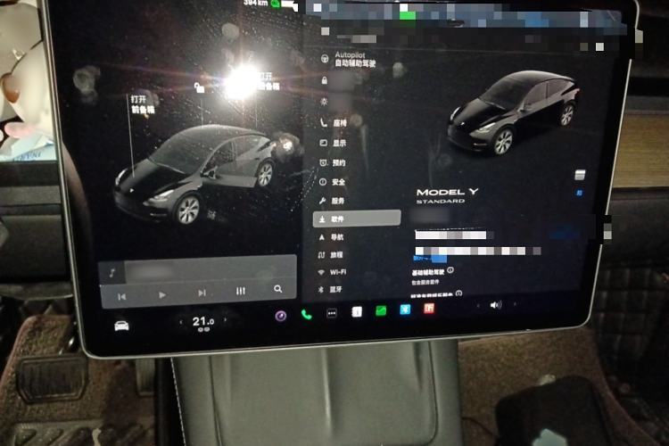 Used Tesla Model Y 2021 Standard Range Rear-Wheel Drive Version
