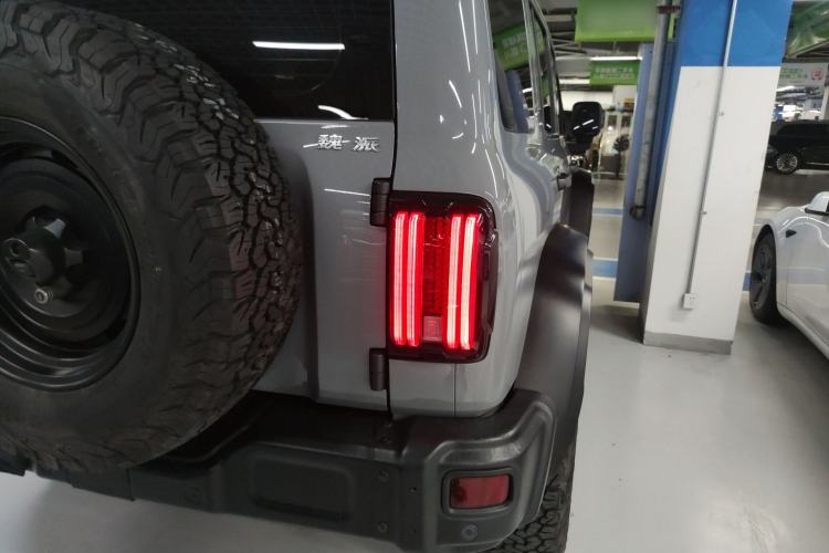 Used Tank 300 2021 2.0T Wind & Forest Iron Rider
