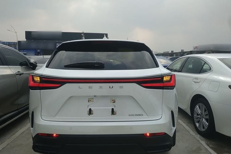 Used Lexus NX 2023 260 Front-Wheel Drive Chuan Yue Edition