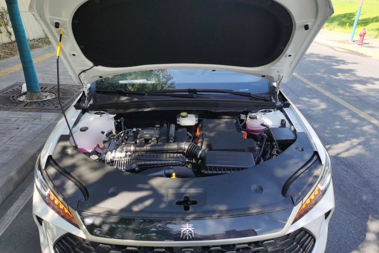 Used BYD Qin PLUS 2025 DM-i Smart Drive 55KM Leading Model
