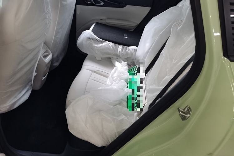 Used  Geome 2025 310km Youth Edition
