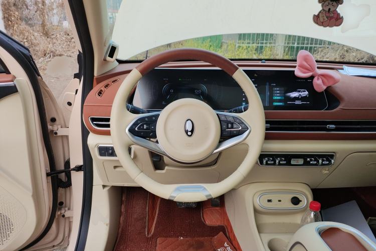 Used ORA Good Cat 2024 401 km Range Luxury Version 135 kW