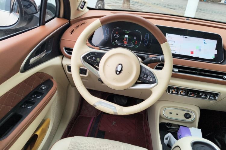 Used ORA Good Cat 2023 401 km Standard Range Premium Version Lithium Iron Phosphate
