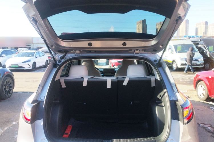 Used  Geome 2025 310km Youth Edition
