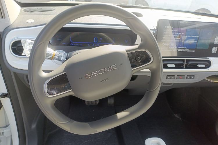 Used  Panda 2025 210 km – Yuanqi Bear
