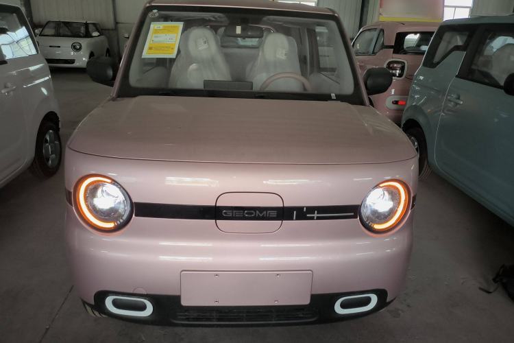 Used  Panda 2025 210 km – Yuanqi Bear
