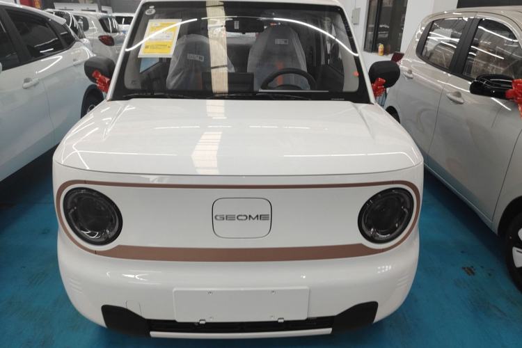 Used  Panda 2024 Panda Mini 200km Endurance Bear
