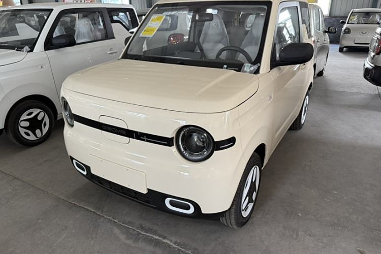 Used  Panda 2025 210 km – Yuanqi Bear
