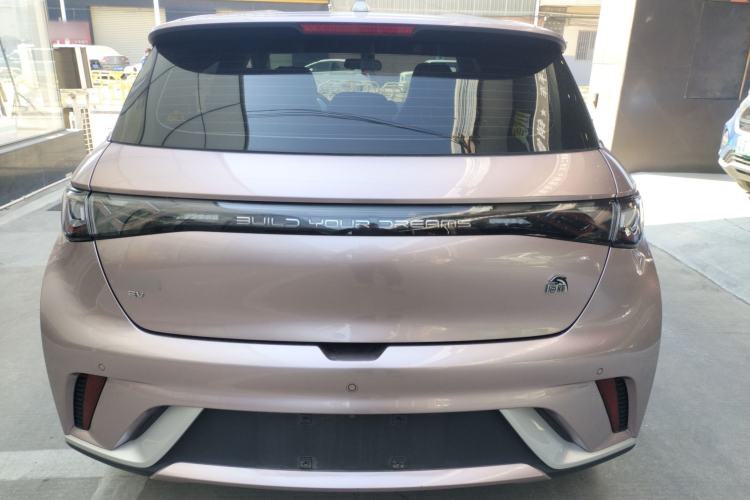 Used BYD Dolphin 2021 405 km Free Version
