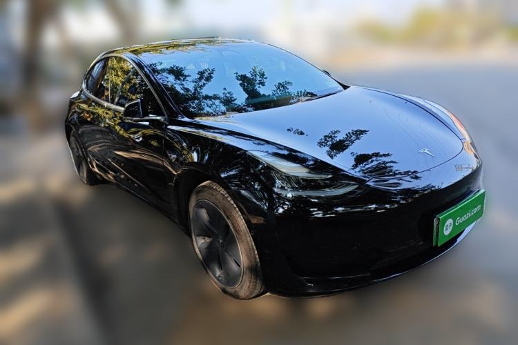 Used Tesla Model 3 2019 Standard Range Rear-Drive Upgraded Version
