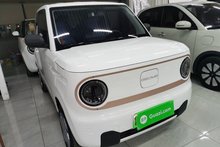 Used  Panda 2024 Panda Mini 200km Endurance Bear