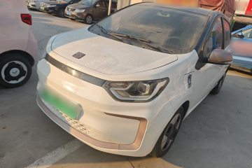 Used SOL E10X 2022 Flower Fairy Design Four-Leaf Clover