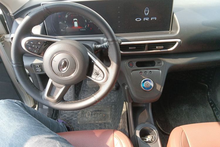 Used ORA White Cat 2020 360 km Luxury Version
