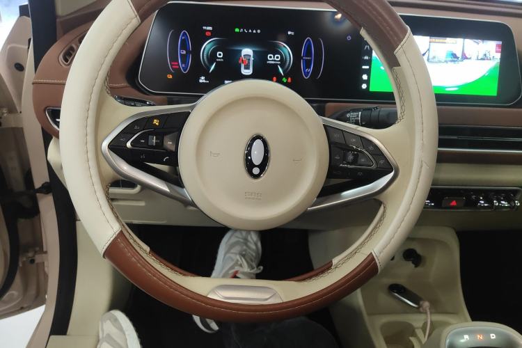 Used ORA Good Cat 2022 Morandi Edition 400km Standard Range Luxury Version Lithium Iron Phosphate