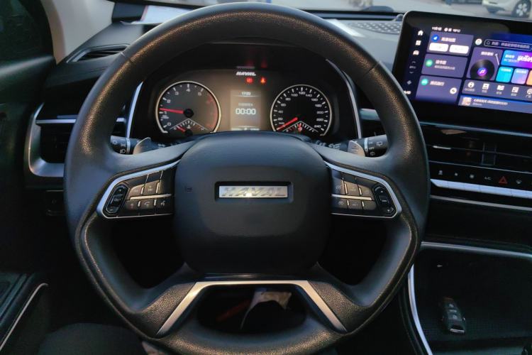 Used Haval H6 2021 National Trend Edition 1.5T Automatic Urban Version
