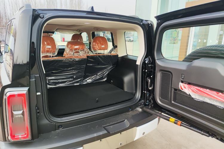 Used Haval Raptor New Energy 