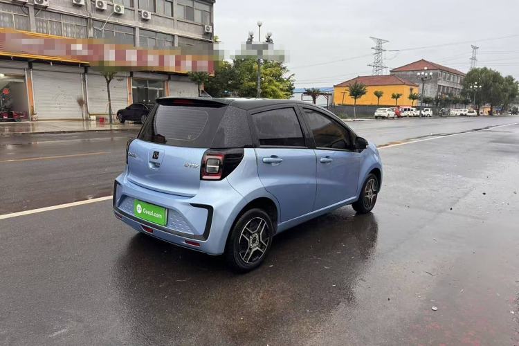 Used SOL E10X 2022 Flower Fairy Design Four-Leaf Clover
