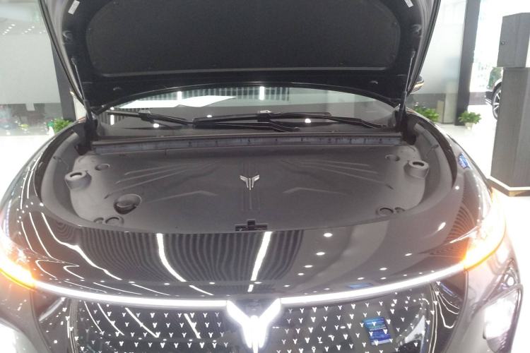 Used VOYAH COURAGE 2024 Four-Wheel Drive Global Edition
