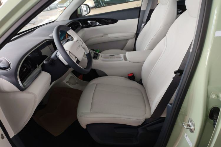 Used  Geome 2025 310km Youth Edition