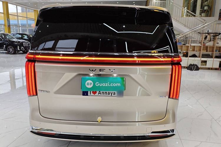 Used Wey Gaoshan 2023 Four-Wheel-Drive Executive Extended Version
