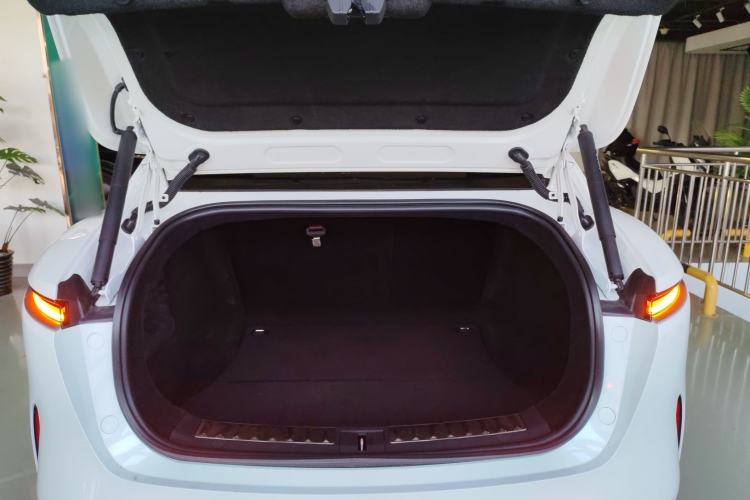 Used  11 2022 Long-Range Dual-Motor Luxury Edition 5 Seats
