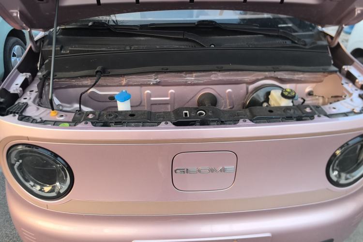 Used  Panda 2023 Panda Mini 200km Endurance Bear
