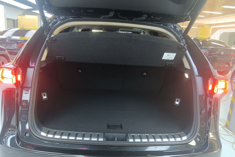 Used Lexus NX 2020 300h Front-Drive FENGSHANG Version China VI Standard
