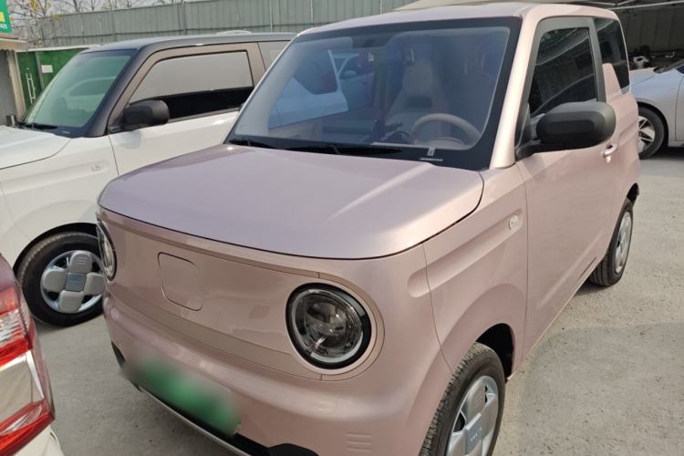 Used  Panda 2023 Panda Mini 200km Endurance Bear