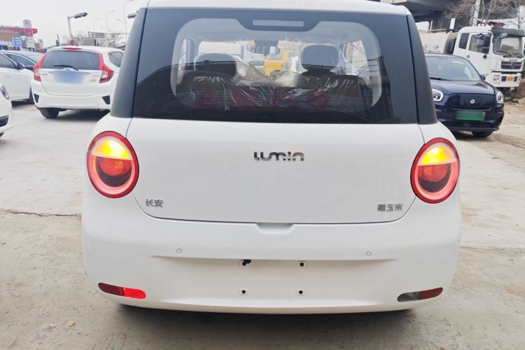 Used  Lumin 2025 205 km Xiangqin Version
