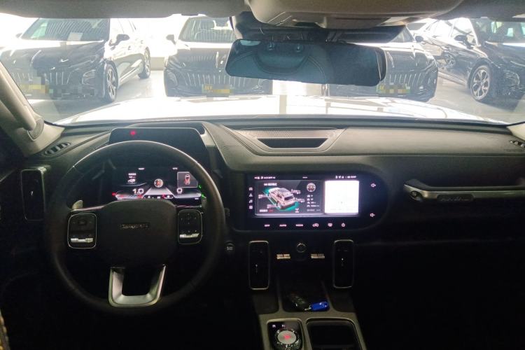 Used Haval DARGO 2024 2.0T DCT Chinese Rural Dog Edition
