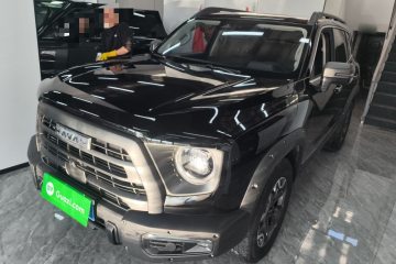 Used Haval DARGO 2024 2.0T DCT Chinese Rural Dog Edition