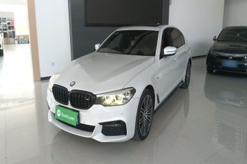 Used BMW 5 Series 2019 530Li Leading Model M Sport Package