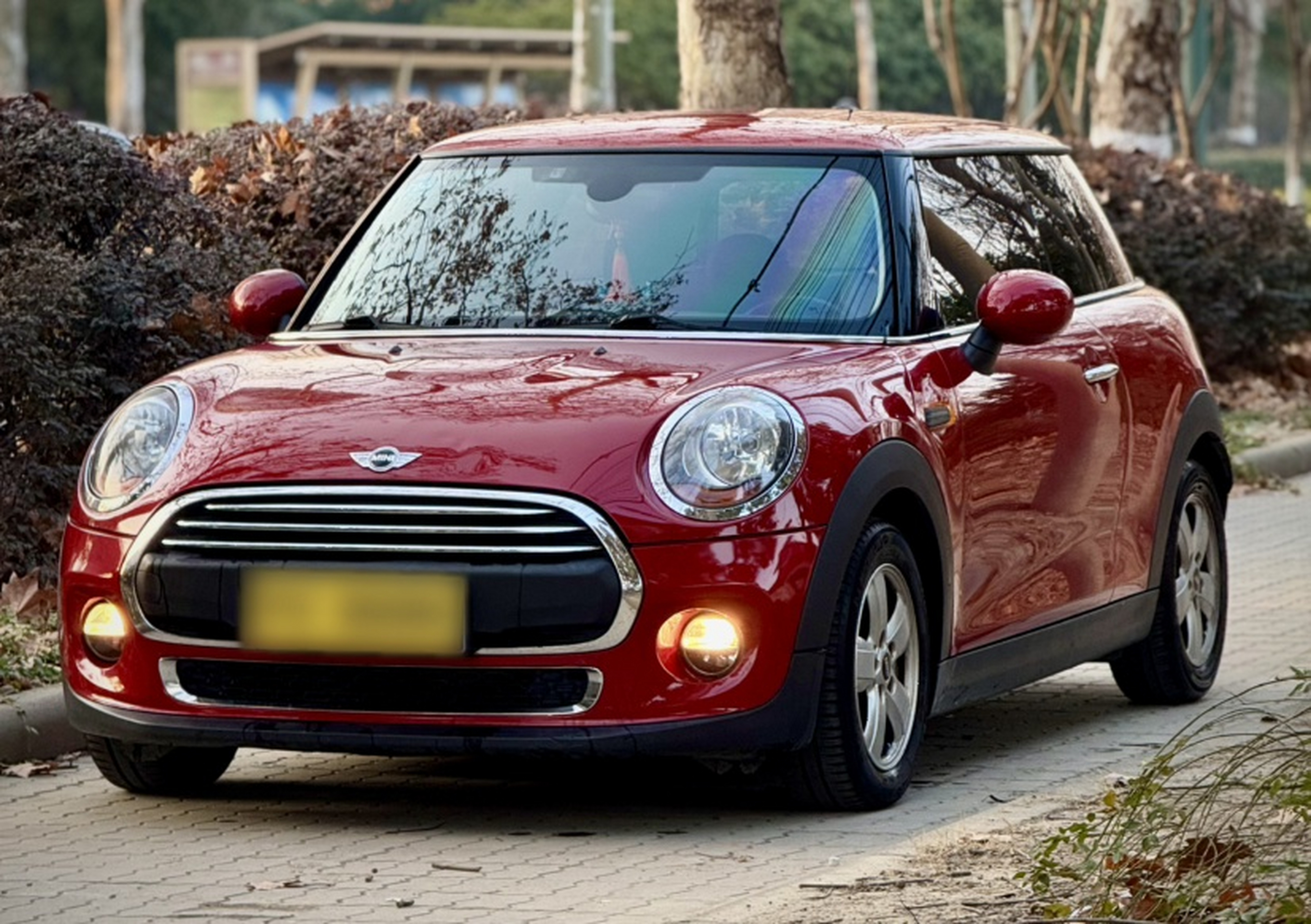 تحت مقدمة السيارة