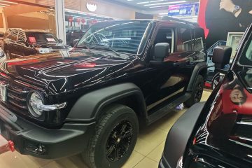 Used Tank 300 2024 2.0T Conqueror