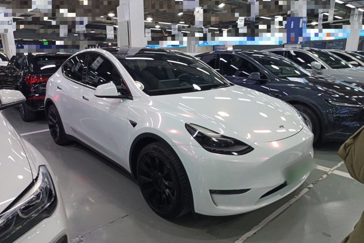 Used Tesla Model Y 2021 Standard Range Rear-Wheel Drive Version
