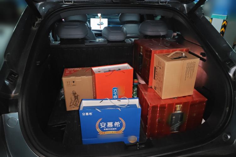 Used  S05 2024 510 Ultra Pure Electric Version