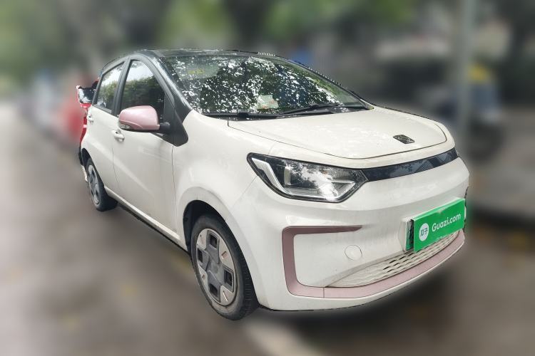 Used SOL E10X 2022 Flower Fairy Design Four-Leaf Clover
