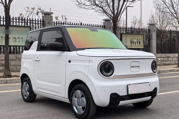 Used  Panda 2023 Panda Mini 200km Endurance Bear