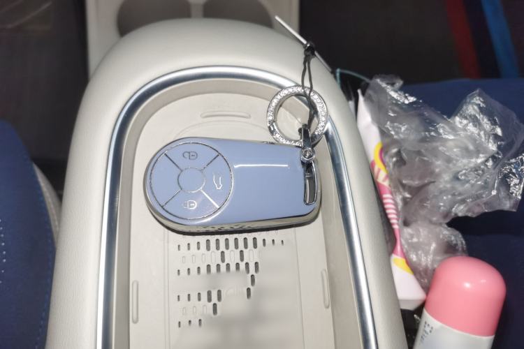 Used ORA Good Cat 2023 401 km Standard Range Premium Version Lithium Iron Phosphate
