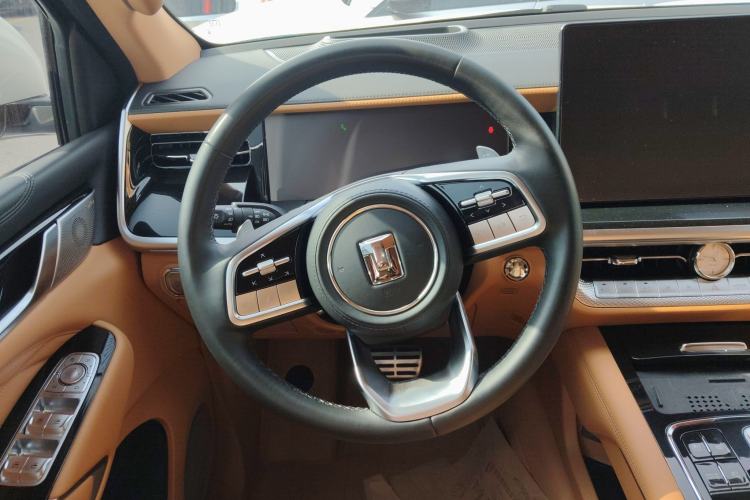 Used Tank 500 New Energy 2023 Hi4-T
