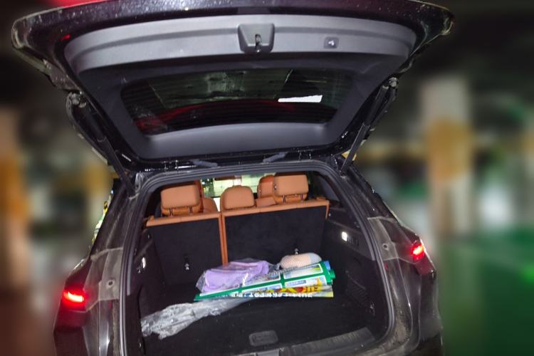 Used Li Auto L6 2024 Max
