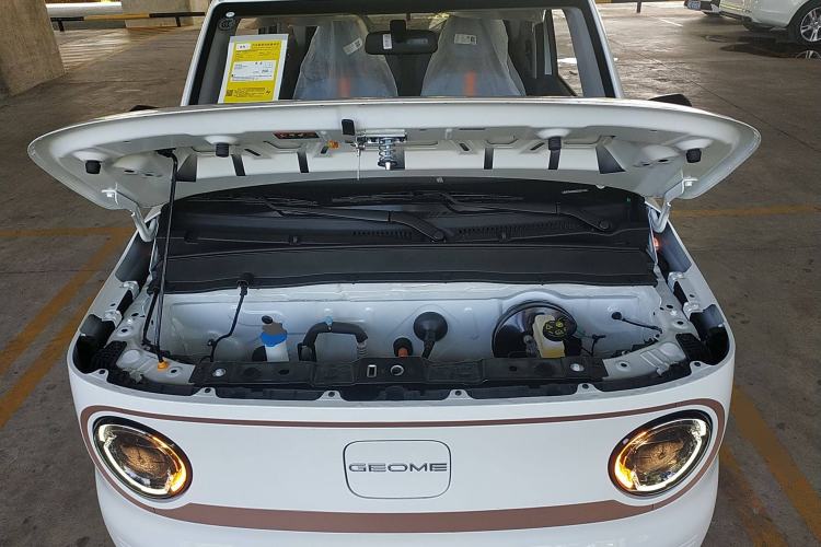 Used  Panda 2024 Panda Mini 200km Endurance Bear
