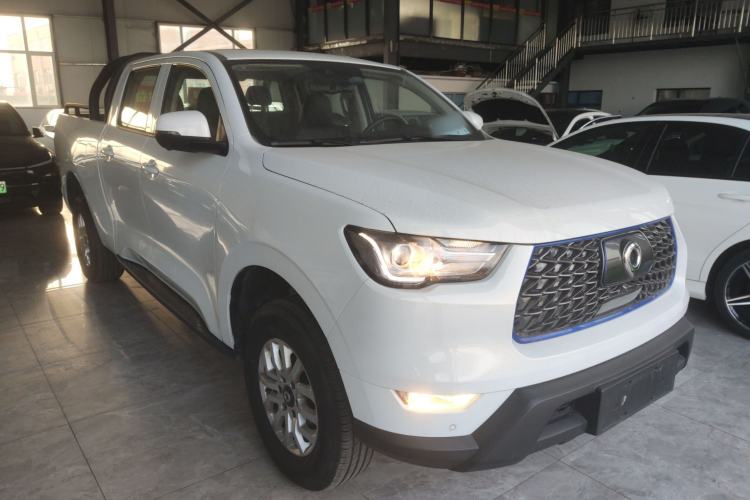 Used Great Wall Poer New Energy 2021 Commercial Edition Leading-Edge Big Double