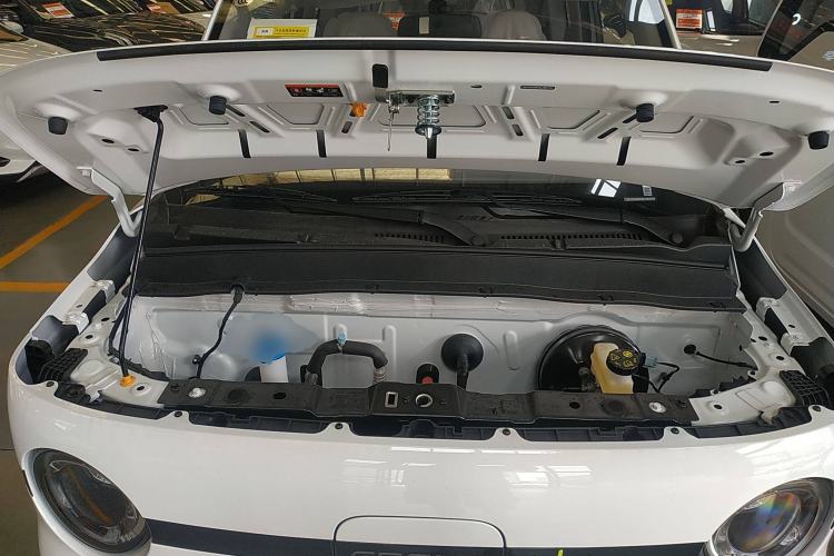 Used  Panda 2025 210 km – Yuanqi Bear
